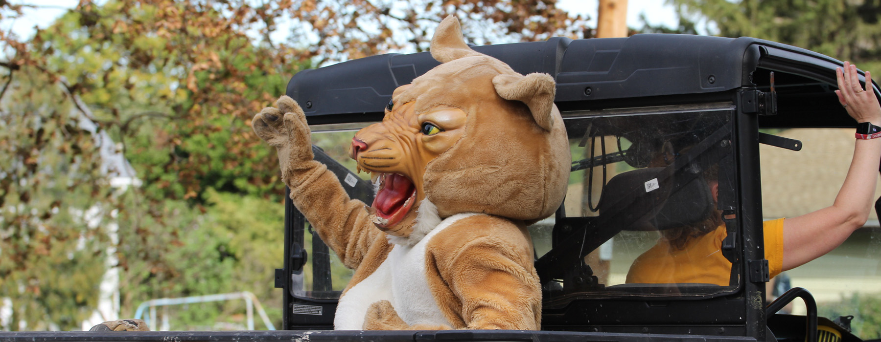 HOCO Parade Wildcat Mascot